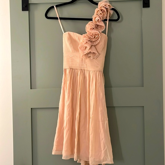 Blush pink Bridesmaid dress - Picture 1 of 3
